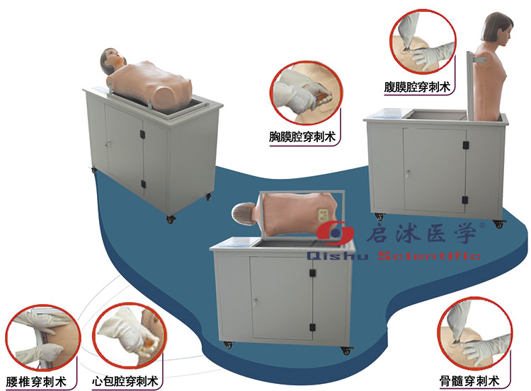 全自動多種穿刺叩診電腦模型