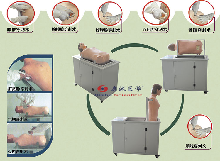 高級(jí)全自動(dòng)多種穿刺叩診電腦模型人