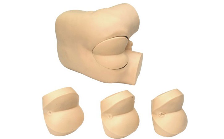 高級(jí)直腸指診檢查模型