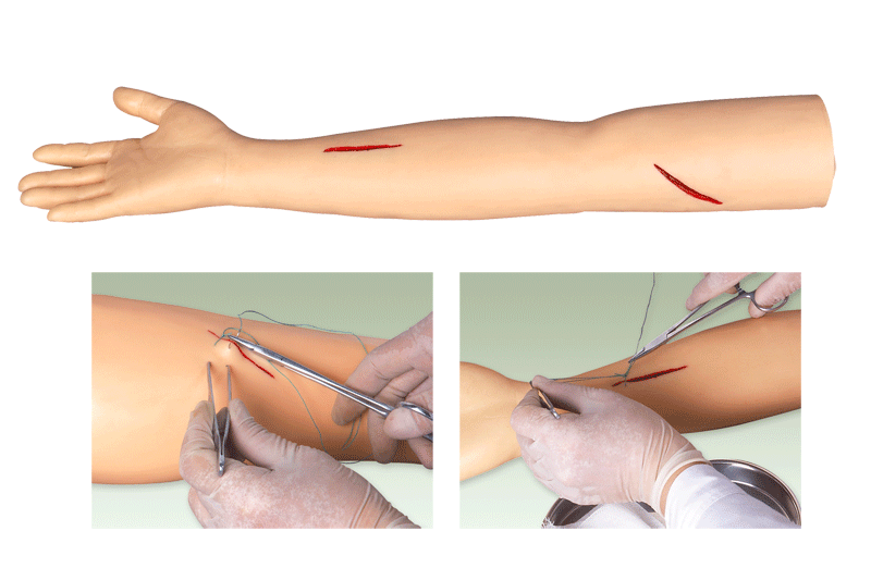 高級外科縫合手臂模型