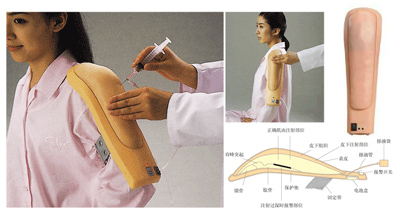 高級電子上臂肌肉注射訓練模型