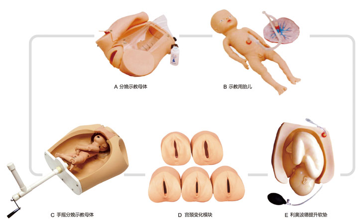 高級腹部觸診、分娩機轉(zhuǎn)綜合模型