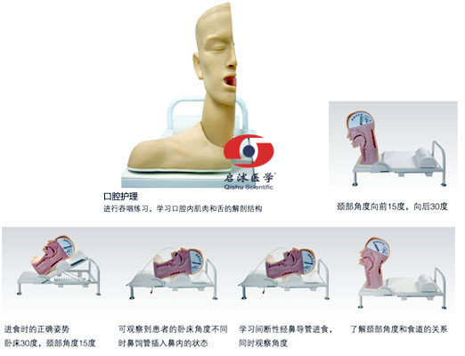 高級(jí)吞咽機(jī)制模型