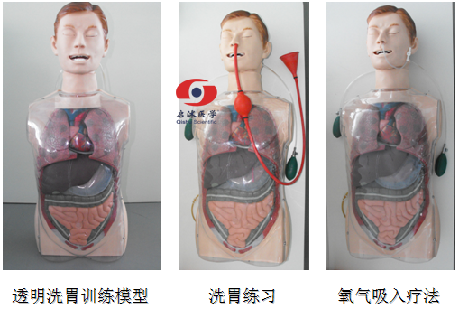 多功能透明洗胃訓練模型