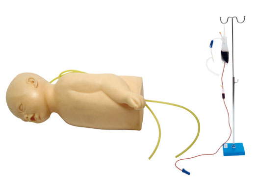 高級嬰兒頭部及手臂靜脈注射訓(xùn)練模型