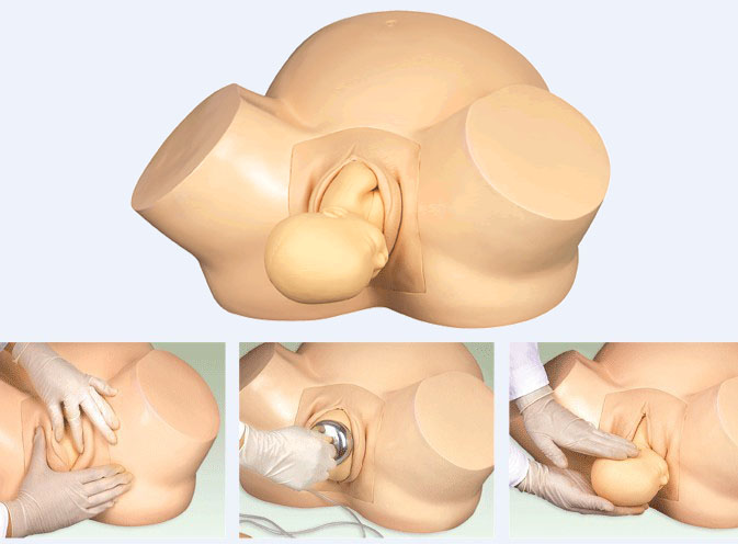 分娩過程培訓模具