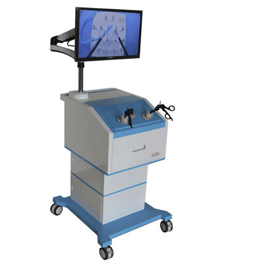 腹腔鏡手術訓練箱及系列模型