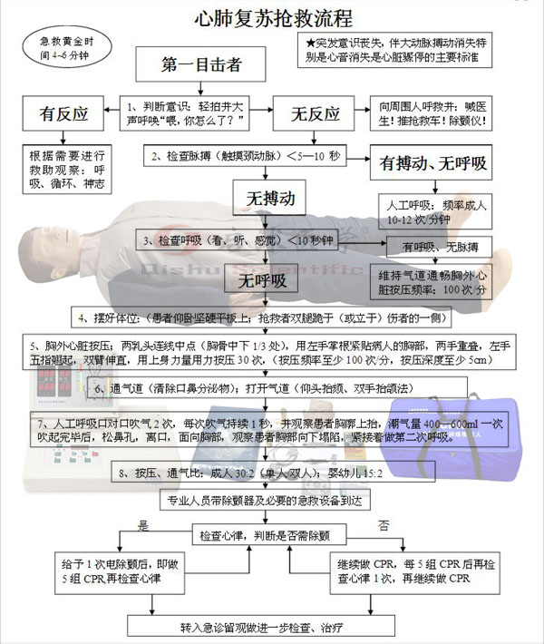 心肺復蘇模擬人搶救流程